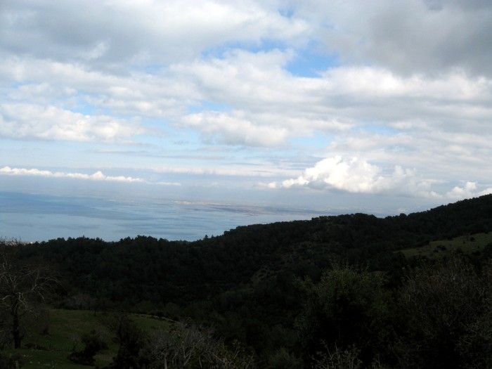 15.02.09 - G.Bahce 027.jpg