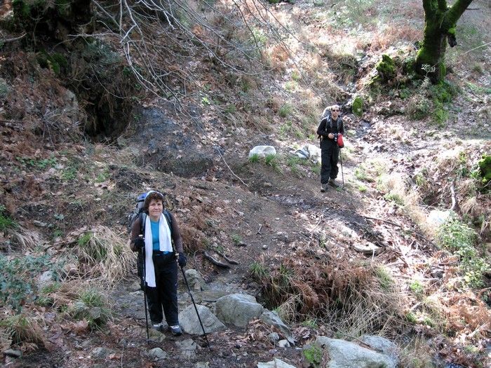 15.02.09 - G.Bahce 031.jpg
