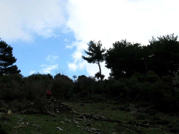 15.02.09 - G.Bahce 047.jpg