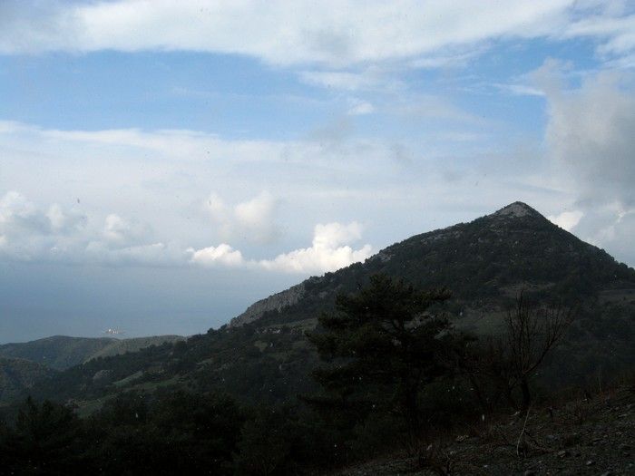 15.02.09 - G.Bahce 069.jpg