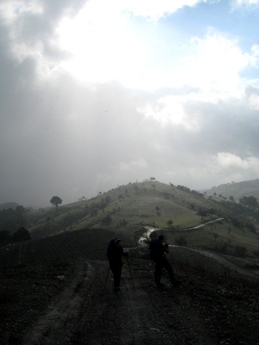 15.02.09 - G.Bahce 072.jpg