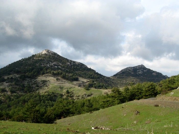 15.02.09 - G.Bahce 079.jpg