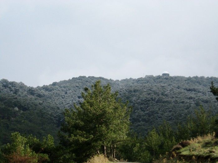 15.02.09 - G.Bahce 083.jpg