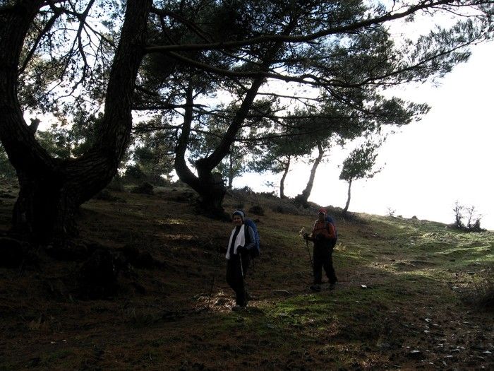 15.02.09 - G.Bahce 085.jpg