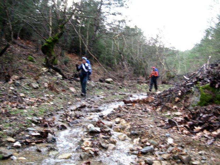 15.02.09 - G.Bahce 094.jpg