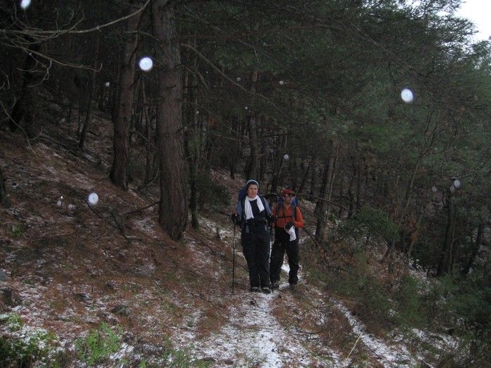 15.02.09 - G.Bahce 101.jpg