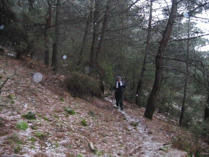 15.02.09 - G.Bahce 104.jpg
