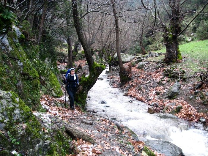 15.02.09 - G.Bahce 111.jpg