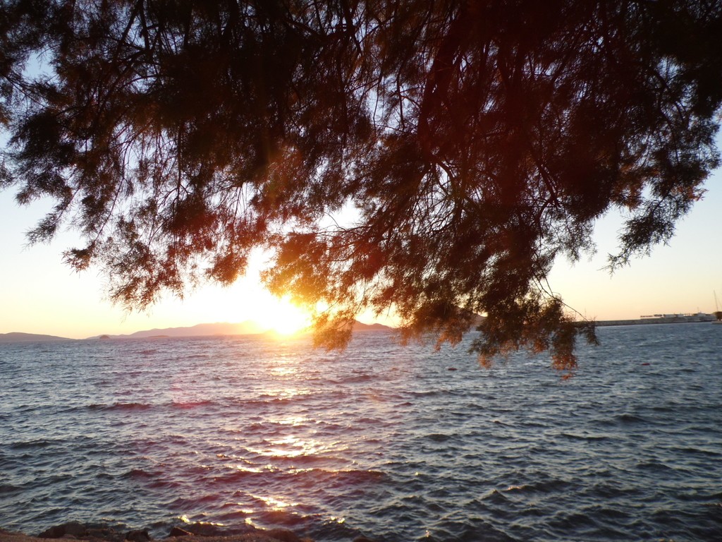 15-09-19-04-TurgutreisDeniz2.JPG