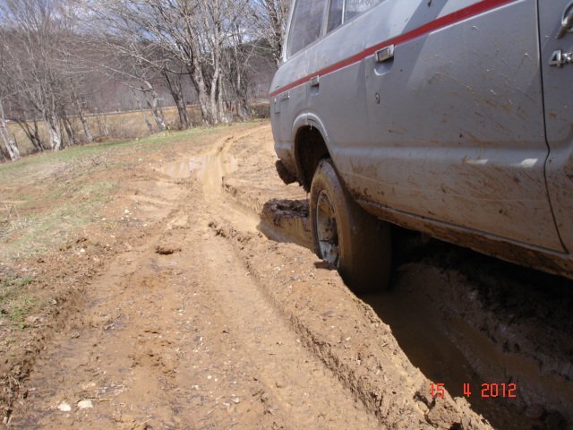 15.JPG
