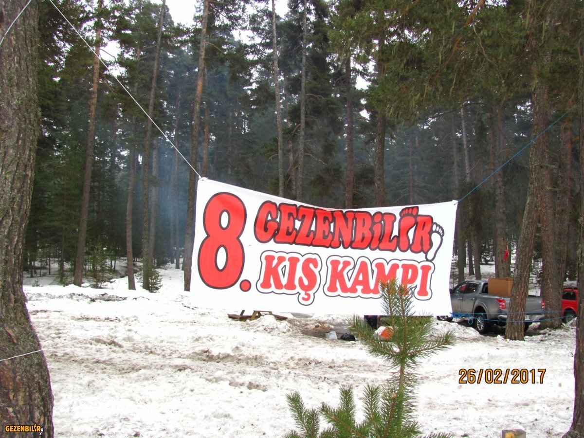 15.JPG