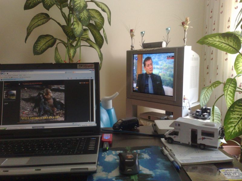 1504201013951.jpg