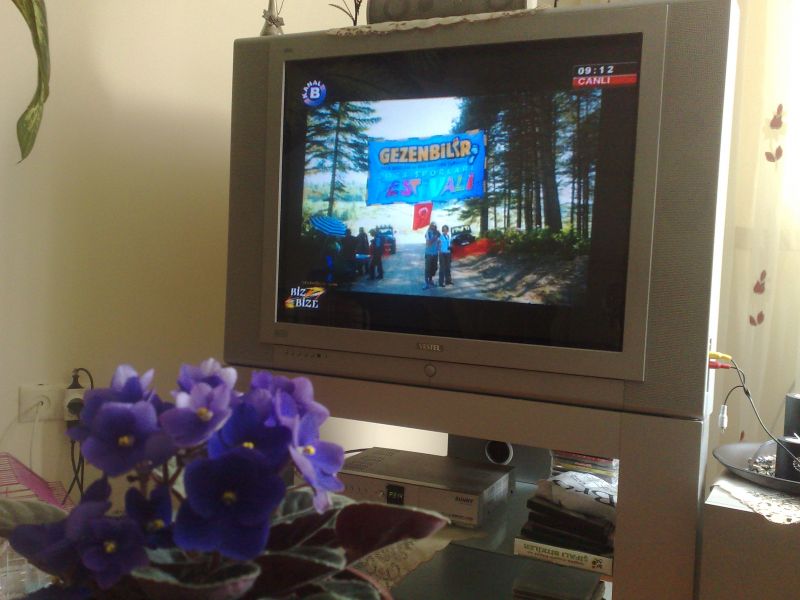 1504201013965.jpg