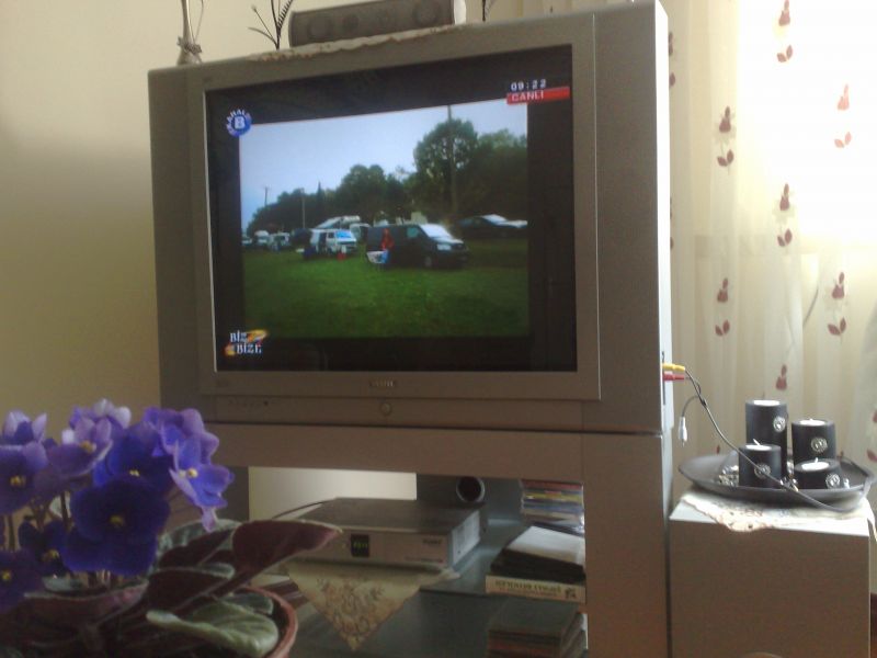 1504201013984.jpg