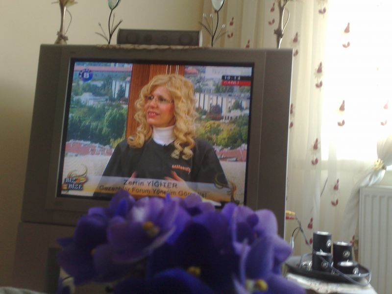 1504201014038.jpg