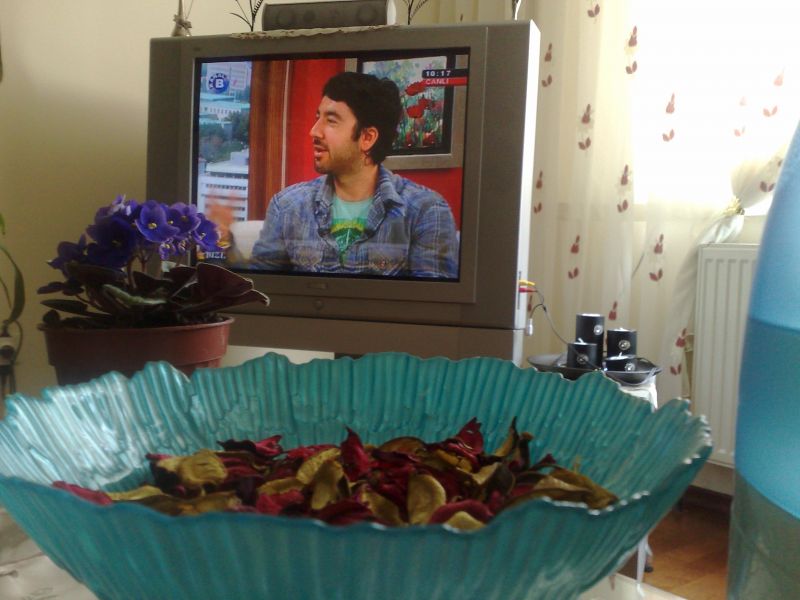 1504201014045.jpg