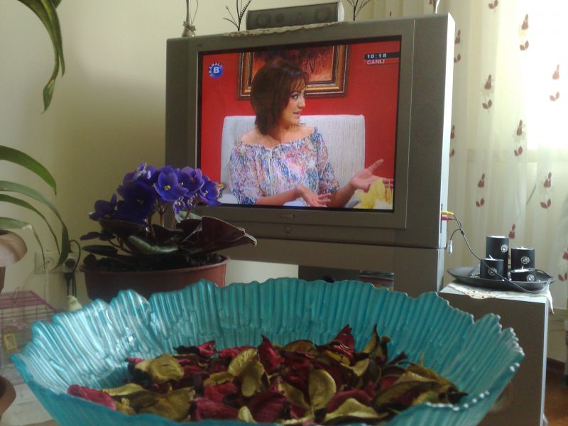 1504201014049.jpg