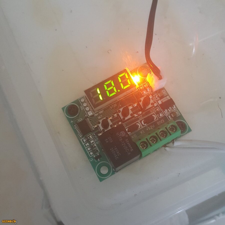 15334647295231816735432.jpg