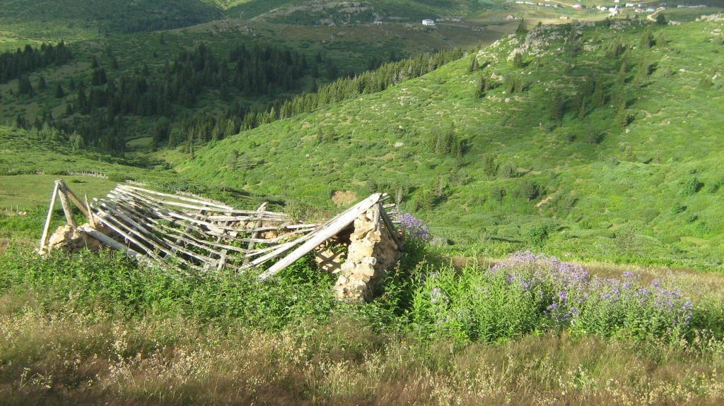 154.jpg