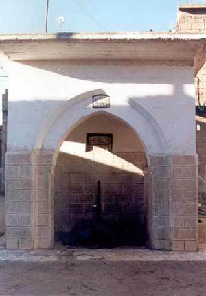 156.jpg