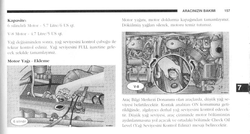 157.jpg
