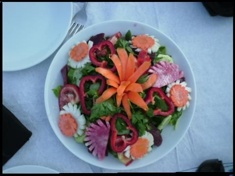 15amass salata.jpg