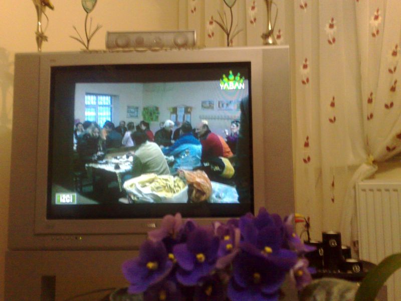 1604201014155.jpg