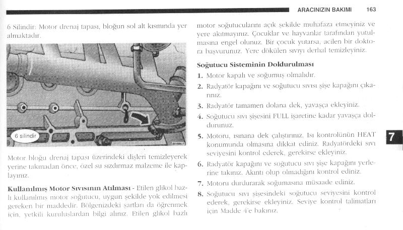 163.jpg