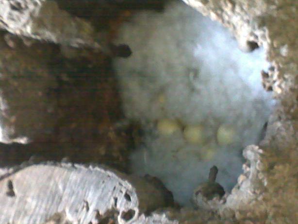 165.jpg