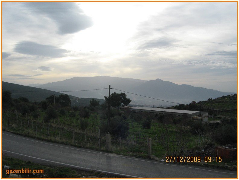 168 - DoÃƒÂƒÃ‚Â„ÃƒÂ‚Ã‚ÂŸanÃƒÂƒÃ‚ÂƒÃƒÂ‚Ã‚Â§ay 27.12.09 008.jpg