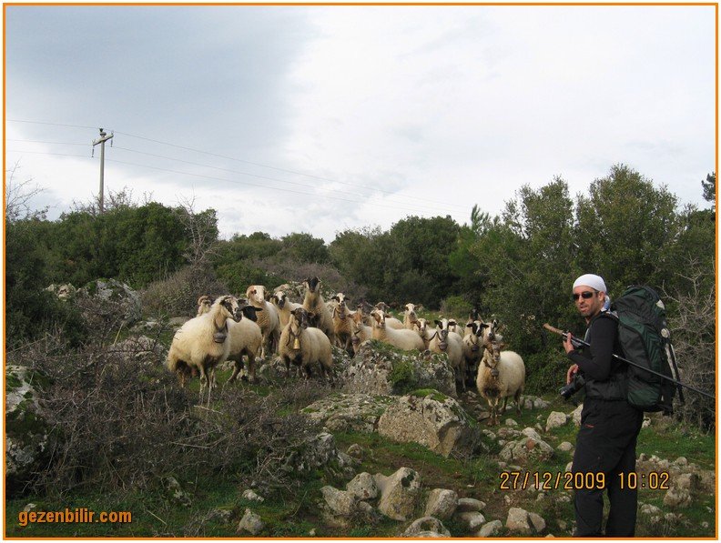 168 - DoÃƒÂƒÃ‚Â„ÃƒÂ‚Ã‚ÂŸanÃƒÂƒÃ‚ÂƒÃƒÂ‚Ã‚Â§ay 27.12.09 011.jpg