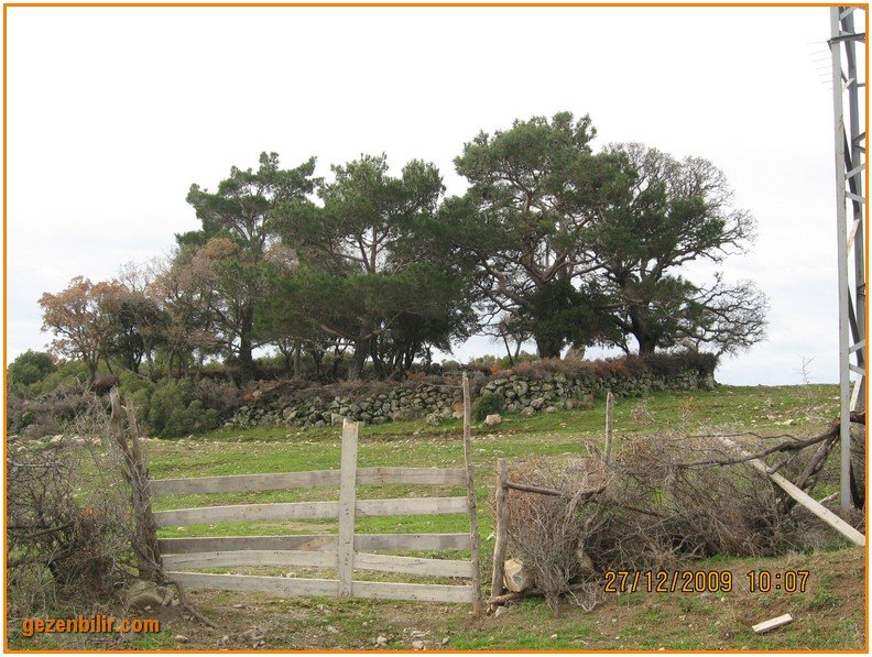 168 - DoÃƒÂƒÃ‚Â„ÃƒÂ‚Ã‚ÂŸanÃƒÂƒÃ‚ÂƒÃƒÂ‚Ã‚Â§ay 27.12.09 014.jpg