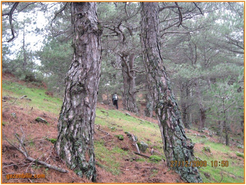 168 - DoÃƒÂƒÃ‚Â„ÃƒÂ‚Ã‚ÂŸanÃƒÂƒÃ‚ÂƒÃƒÂ‚Ã‚Â§ay 27.12.09 017.jpg