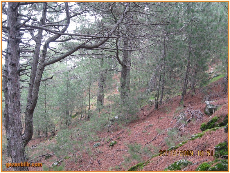 168 - DoÃƒÂƒÃ‚Â„ÃƒÂ‚Ã‚ÂŸanÃƒÂƒÃ‚ÂƒÃƒÂ‚Ã‚Â§ay 27.12.09 018.jpg