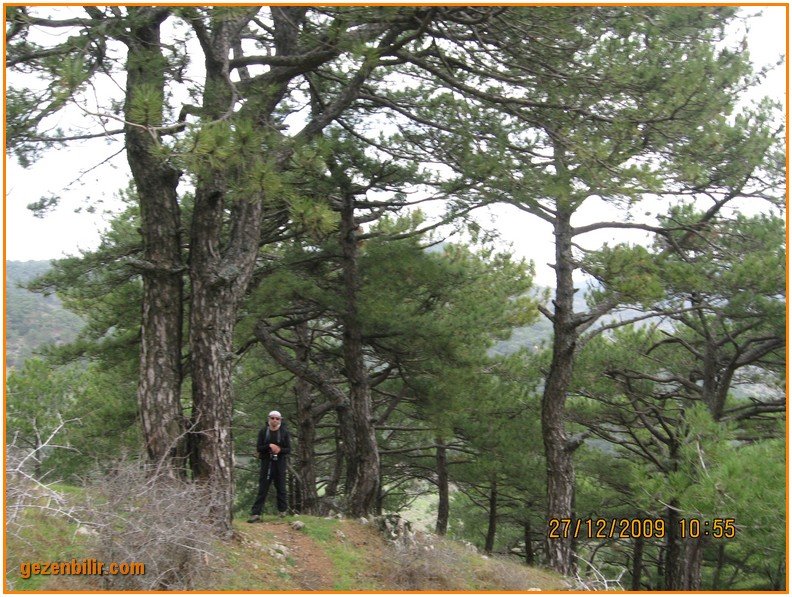 168 - DoÃƒÂƒÃ‚Â„ÃƒÂ‚Ã‚ÂŸanÃƒÂƒÃ‚ÂƒÃƒÂ‚Ã‚Â§ay 27.12.09 019.jpg