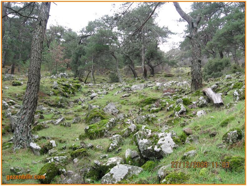 168 - DoÃƒÂƒÃ‚Â„ÃƒÂ‚Ã‚ÂŸanÃƒÂƒÃ‚ÂƒÃƒÂ‚Ã‚Â§ay 27.12.09 020.jpg