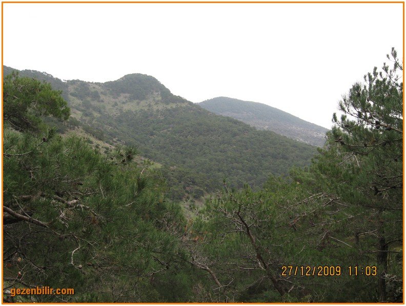 168 - DoÃƒÂƒÃ‚Â„ÃƒÂ‚Ã‚ÂŸanÃƒÂƒÃ‚ÂƒÃƒÂ‚Ã‚Â§ay 27.12.09 021.jpg