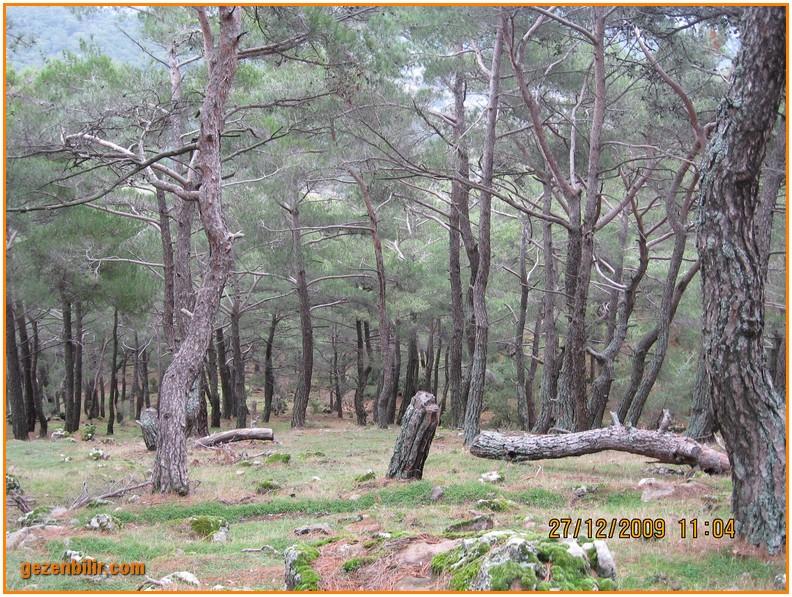 168 - DoÃƒÂƒÃ‚Â„ÃƒÂ‚Ã‚ÂŸanÃƒÂƒÃ‚ÂƒÃƒÂ‚Ã‚Â§ay 27.12.09 022.jpg