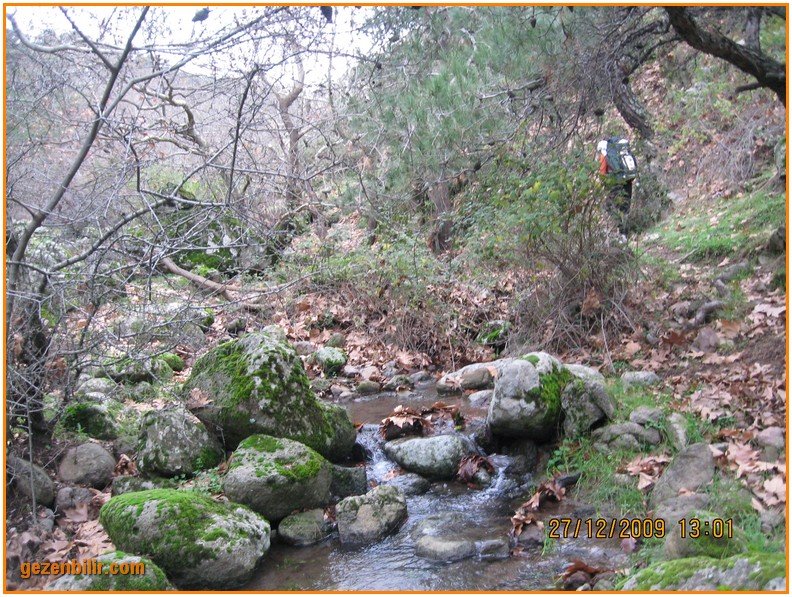 168 - DoÃƒÂƒÃ‚Â„ÃƒÂ‚Ã‚ÂŸanÃƒÂƒÃ‚ÂƒÃƒÂ‚Ã‚Â§ay 27.12.09 029.jpg