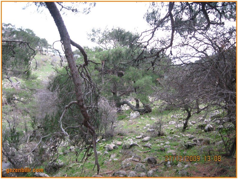 168 - DoÃƒÂƒÃ‚Â„ÃƒÂ‚Ã‚ÂŸanÃƒÂƒÃ‚ÂƒÃƒÂ‚Ã‚Â§ay 27.12.09 030.jpg