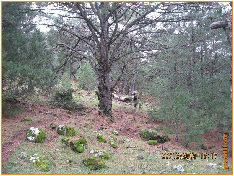 168 - DoÃƒÂƒÃ‚Â„ÃƒÂ‚Ã‚ÂŸanÃƒÂƒÃ‚ÂƒÃƒÂ‚Ã‚Â§ay 27.12.09 034.jpg