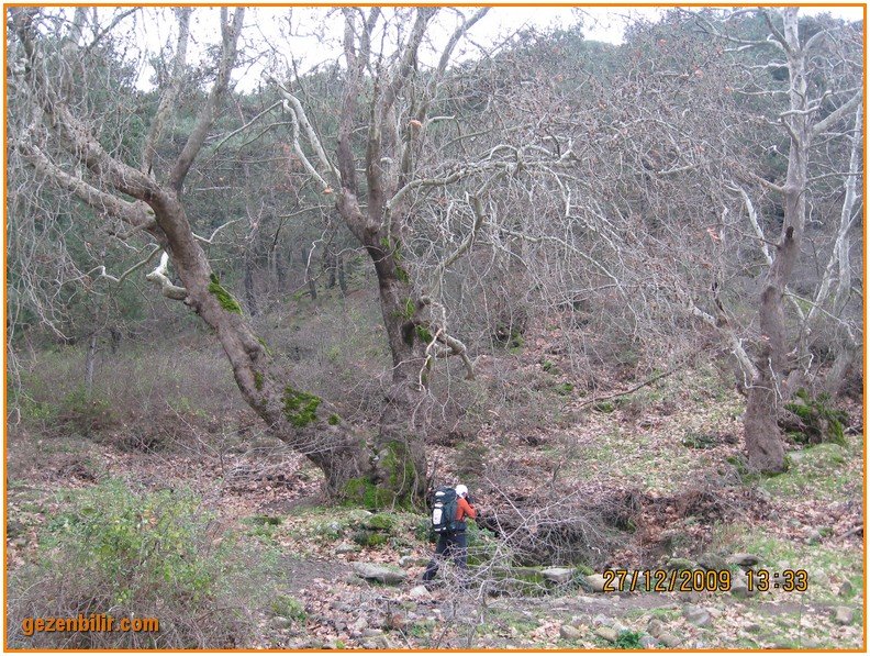 168 - DoÃƒÂƒÃ‚Â„ÃƒÂ‚Ã‚ÂŸanÃƒÂƒÃ‚ÂƒÃƒÂ‚Ã‚Â§ay 27.12.09 038.jpg