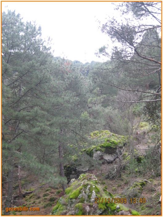 168 - DoÃƒÂƒÃ‚Â„ÃƒÂ‚Ã‚ÂŸanÃƒÂƒÃ‚ÂƒÃƒÂ‚Ã‚Â§ay 27.12.09 041.jpg