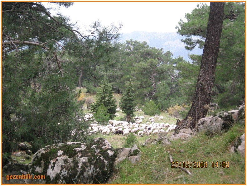 168 - DoÃƒÂƒÃ‚Â„ÃƒÂ‚Ã‚ÂŸanÃƒÂƒÃ‚ÂƒÃƒÂ‚Ã‚Â§ay 27.12.09 044.jpg