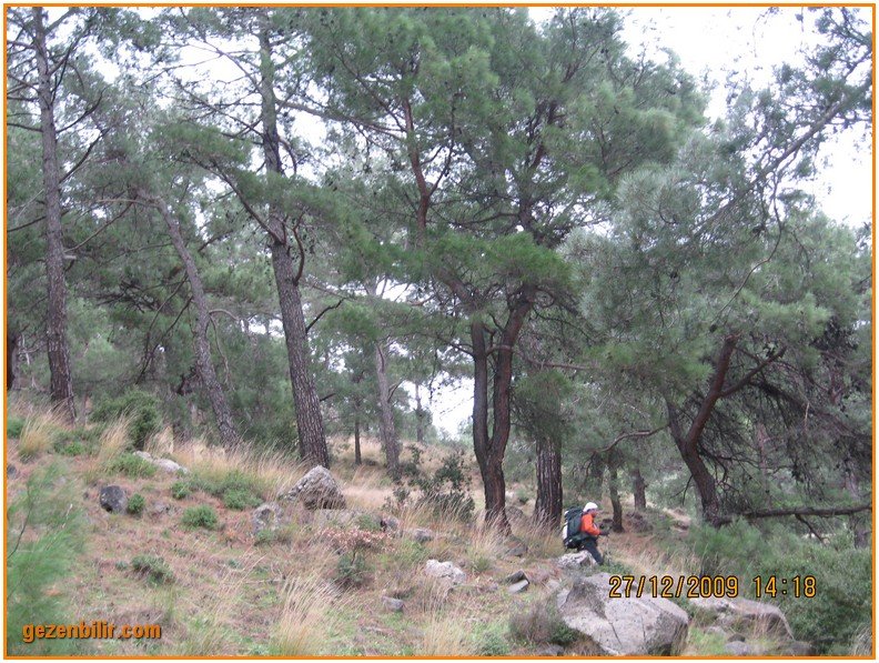 168 - DoÃƒÂƒÃ‚Â„ÃƒÂ‚Ã‚ÂŸanÃƒÂƒÃ‚ÂƒÃƒÂ‚Ã‚Â§ay 27.12.09 045.jpg