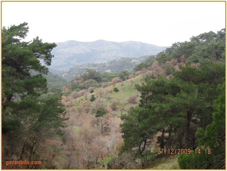 168 - DoÃƒÂƒÃ‚Â„ÃƒÂ‚Ã‚ÂŸanÃƒÂƒÃ‚ÂƒÃƒÂ‚Ã‚Â§ay 27.12.09 046.jpg