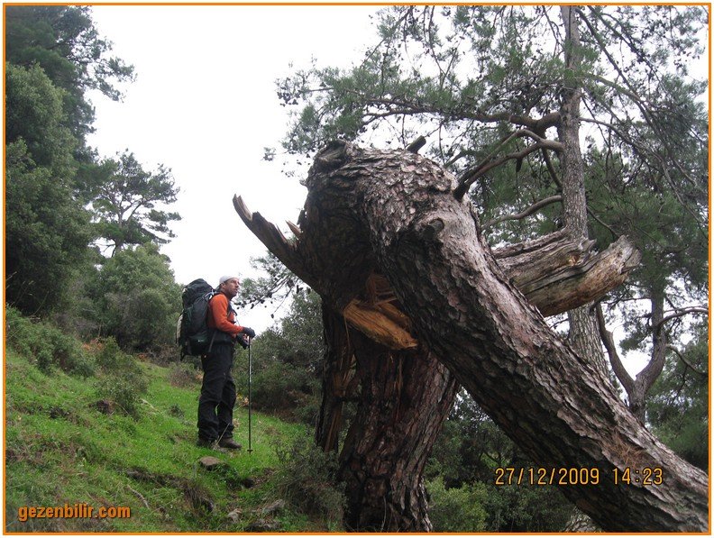 168 - DoÃƒÂƒÃ‚Â„ÃƒÂ‚Ã‚ÂŸanÃƒÂƒÃ‚ÂƒÃƒÂ‚Ã‚Â§ay 27.12.09 047.jpg