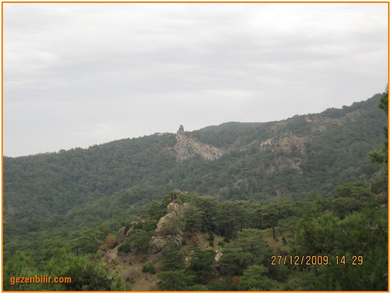 168 - DoÃƒÂƒÃ‚Â„ÃƒÂ‚Ã‚ÂŸanÃƒÂƒÃ‚ÂƒÃƒÂ‚Ã‚Â§ay 27.12.09 052.jpg