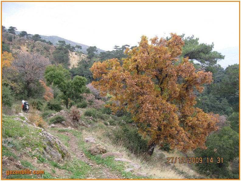 168 - DoÃƒÂƒÃ‚Â„ÃƒÂ‚Ã‚ÂŸanÃƒÂƒÃ‚ÂƒÃƒÂ‚Ã‚Â§ay 27.12.09 054.jpg