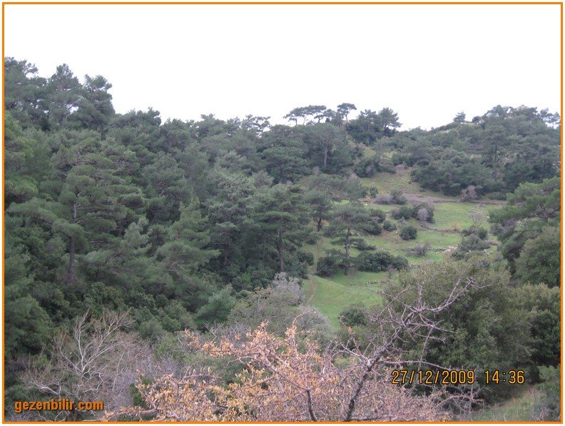 168 - DoÃƒÂƒÃ‚Â„ÃƒÂ‚Ã‚ÂŸanÃƒÂƒÃ‚ÂƒÃƒÂ‚Ã‚Â§ay 27.12.09 055.jpg